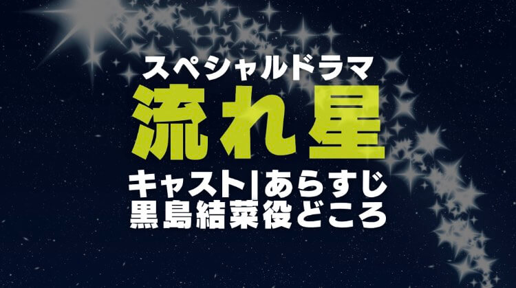 スペシャルドラマ「流れ星」の画像